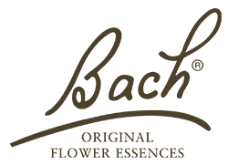 Bach-with-essence-1